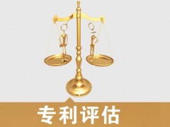 專(zhuān)利的價(jià)值評(píng)估，新手賣(mài)家必看